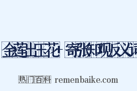 金莲出玉花+寄张知观反义词是什么意思的图片